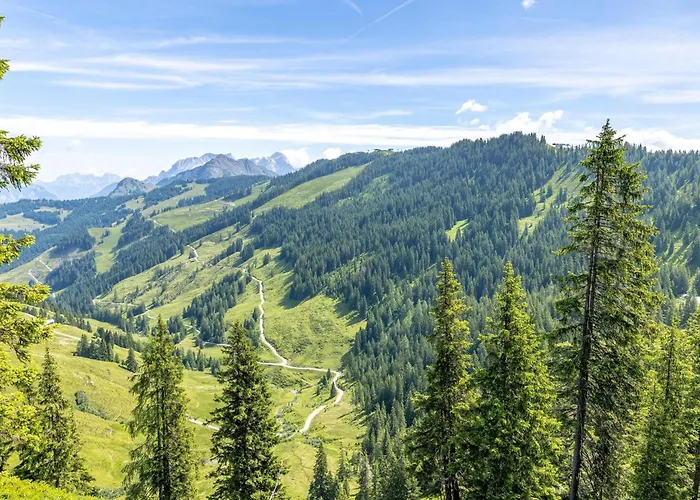 Alpensteinbock D Appartement Saalbach-Hinterglemm