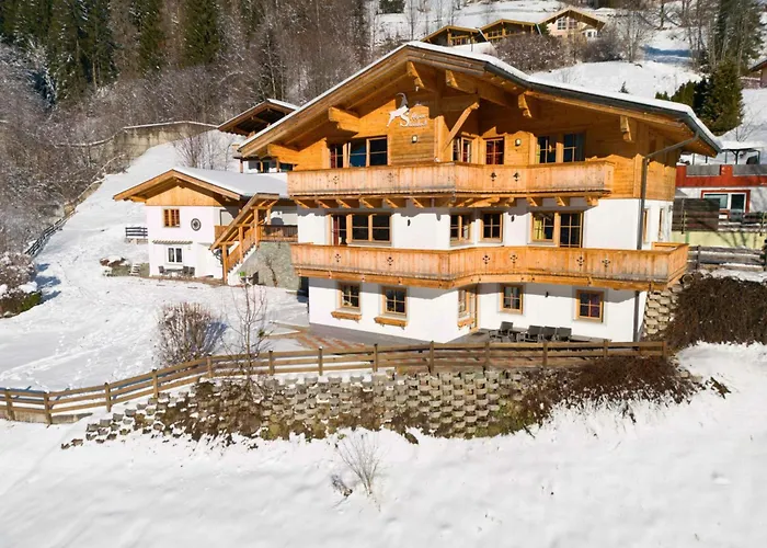 Alpensteinbock D Appartement Saalbach-Hinterglemm