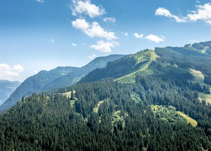 Appartement Alpensteinbock D Saalbach-Hinterglemm