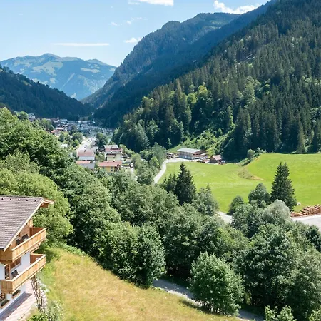 Alpensteinbock D *