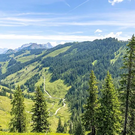 Alpensteinbock D Apartament Saalbach-Hinterglemm