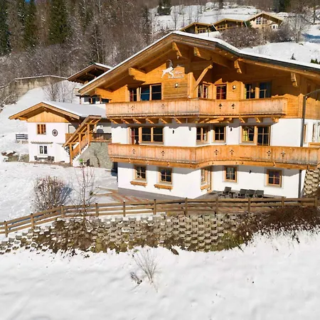 Alpensteinbock D Apartment Saalbach-Hinterglemm