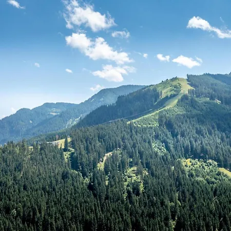 Apartament Alpensteinbock D Saalbach-Hinterglemm