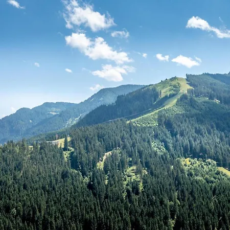 Apartment Alpensteinbock D Saalbach-Hinterglemm