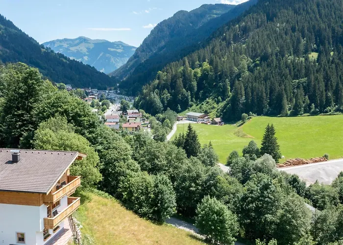 Alpensteinbock D *
