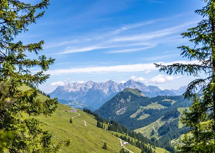 Apartament Alpensteinbock D *